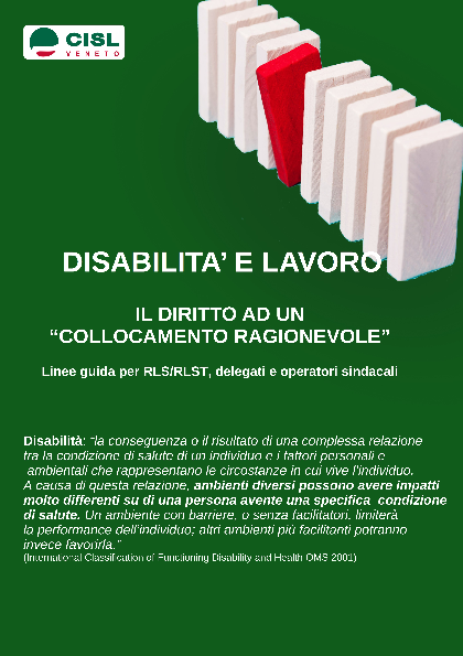 Linee guida Disabilità e Lavoro