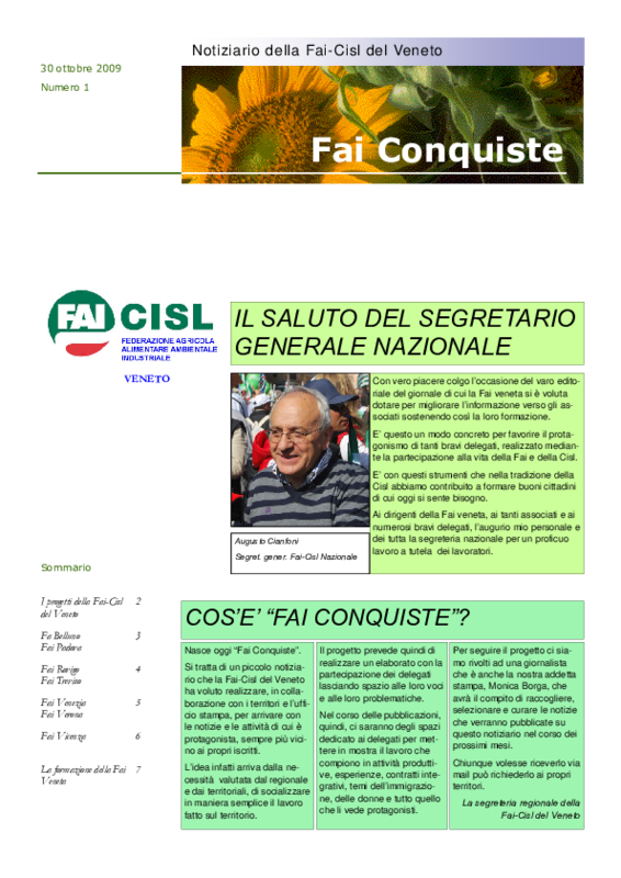 fai-n1-2009