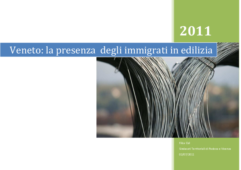 veneto-edili-immigrati-in-provincia- di-Padvoa-e-Vicenzax