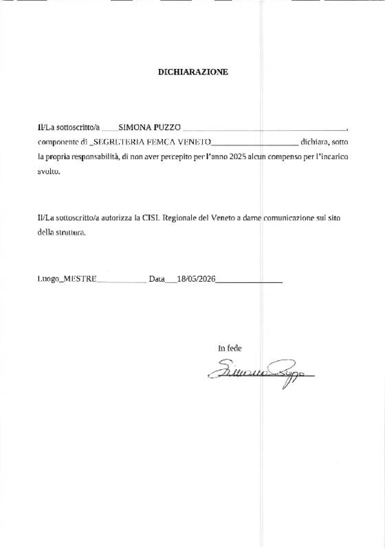 Dichiarazione Puzzo 2026