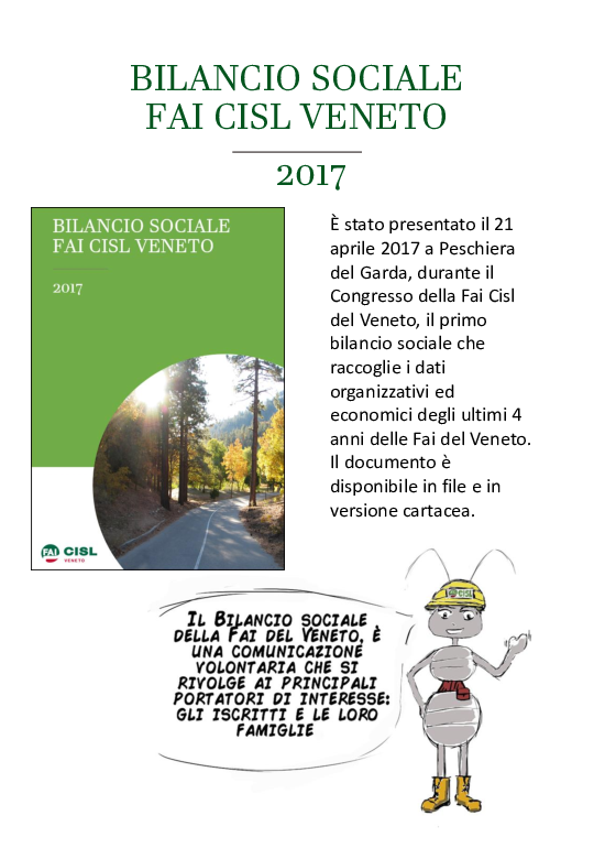 Scheda Bilancio Sociale Fai Veneto