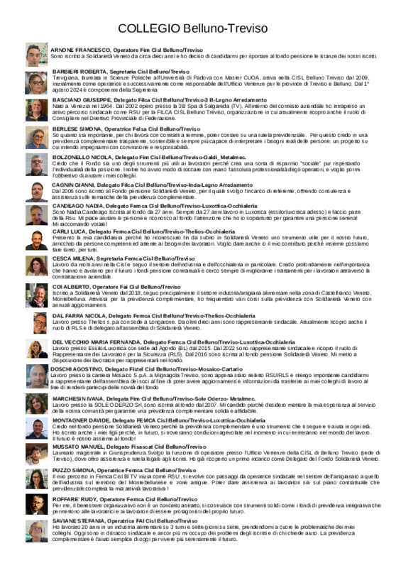 Candidati collegio Belluno-Treviso