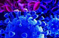 Virus Covid19 Virus Covid19